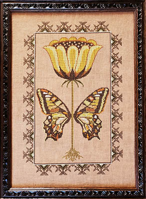 (image for) A Study In Garden Fairies